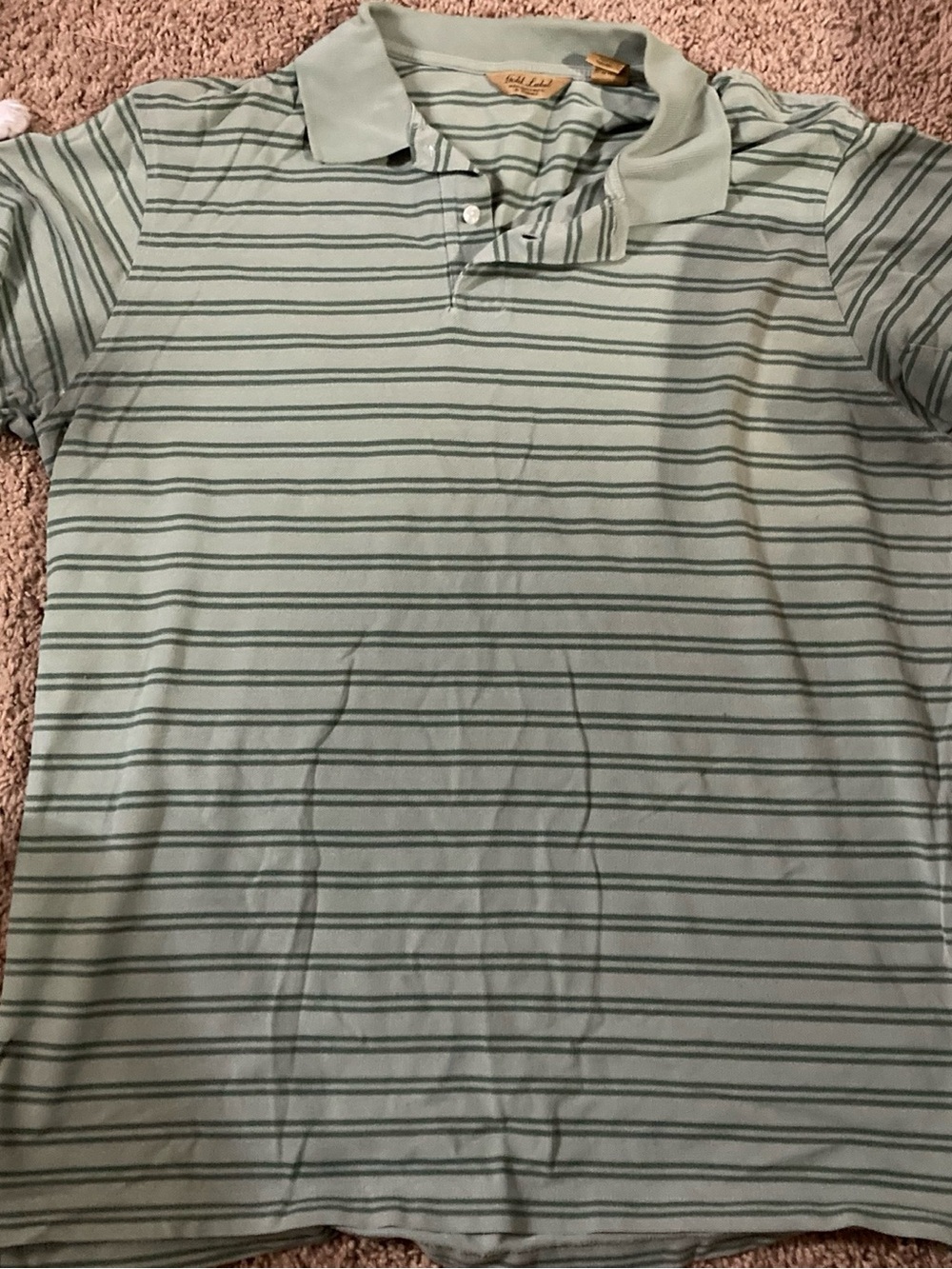 Roundtree & Yorke Men's Mint Green Striped Polo